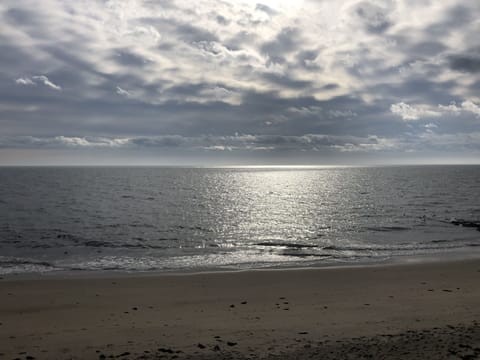 Beautiful Oak Street Beach