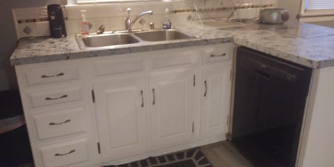 Kitchen Dishwasher