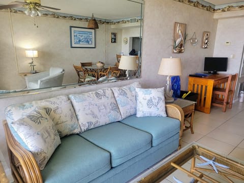 Living Room Area 