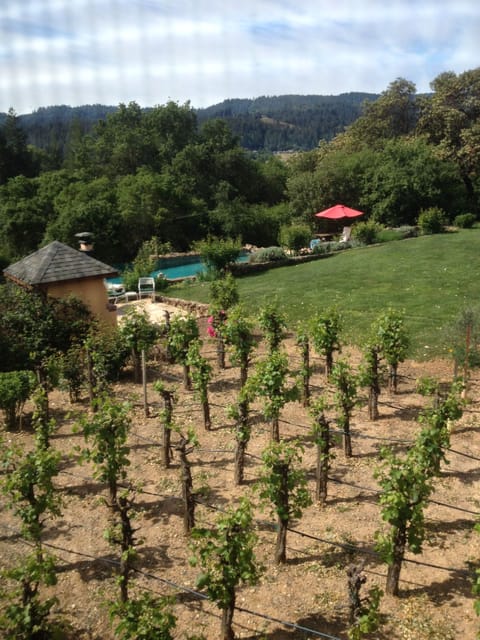 View from upstairs bedroom