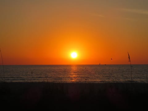 Sunsets on Belleair Beach.....