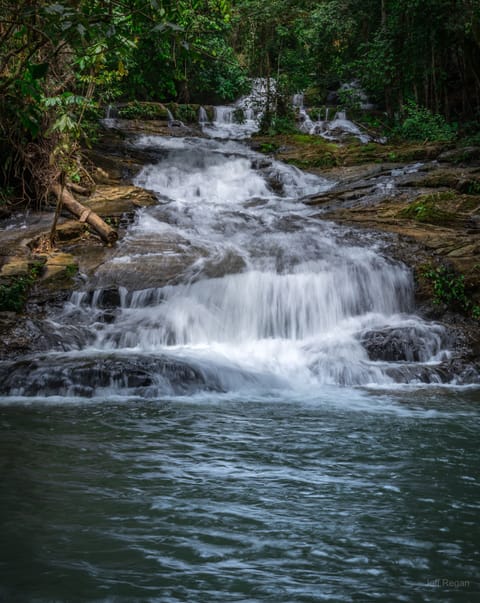 Our backyard! Just steps away Corazon del Rio waterfall & swimming hole