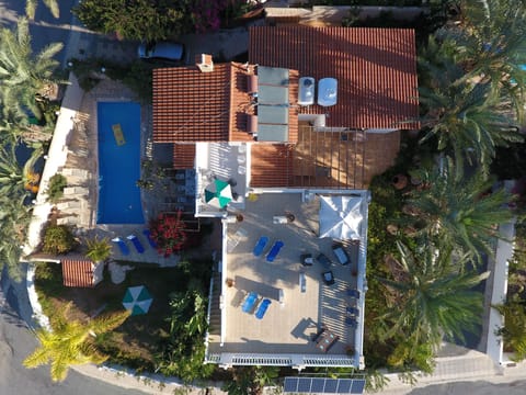 panoramic photo  of  our  villa.