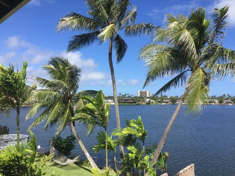 View from living room window and lanai.