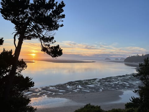 Sunset with tide out