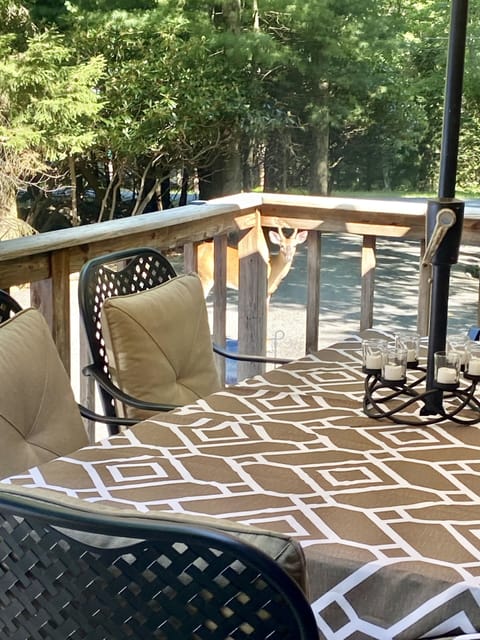 Patio set,seats 6 plus 1 deer.