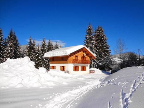 Chalet varni in Winter