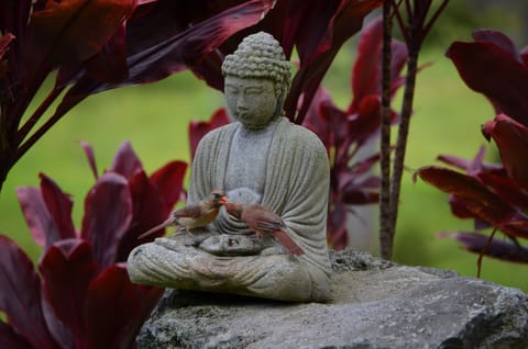 The Zen Garden