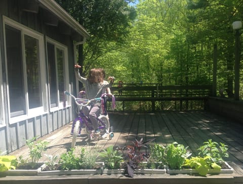 Deck off the living room contains picnic table when not in use as a race track.