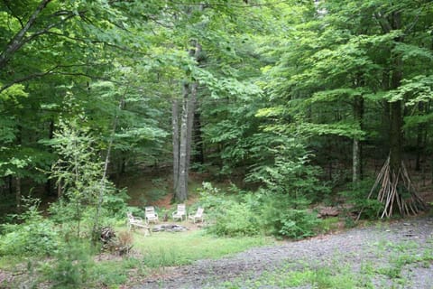 Fire pit. House is privately sited on 5 wooded acres. 