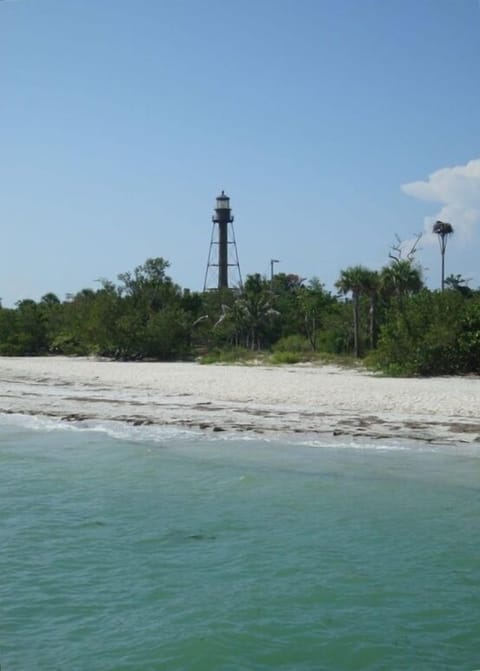 Lighthouse From Fishing Pier