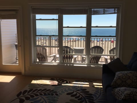 Stunning view from kitchen island. 