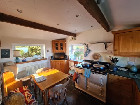kitchen and Aga