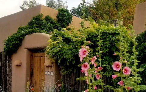 The Rose Casita - Entrance