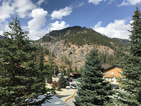 View from the deck