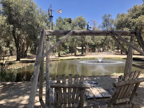 Relax and enjoy the serenity of the duck pond