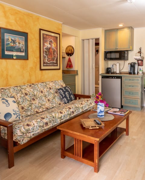 Futon Couch Folds out to a Double Bed