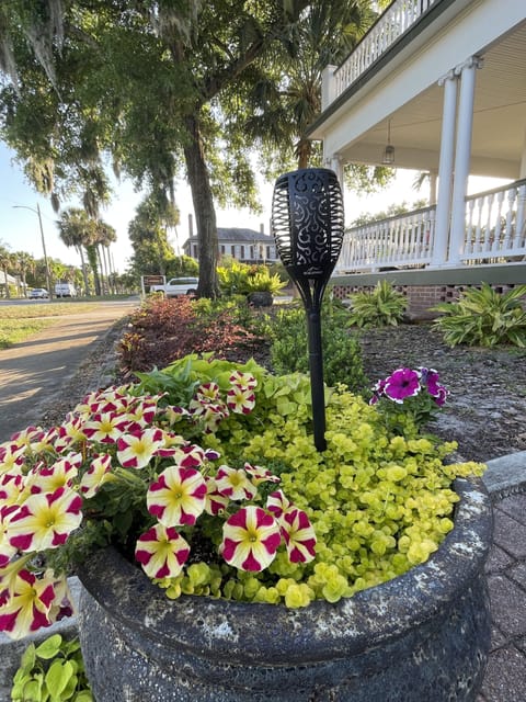 Flowers are in full bloom!