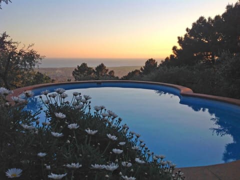 Swimming Pool, Water, Sky, Water Resources, Natural Landscape, Property, Wilderness, Tree, Reflection, Lake