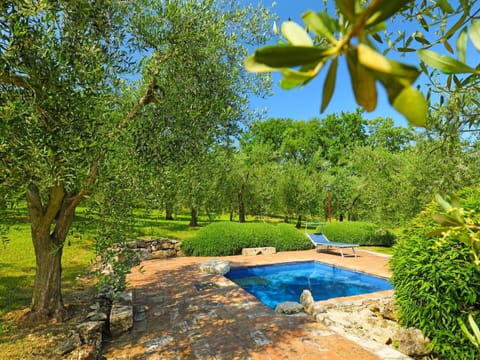 Natural Landscape, Nature, Swimming Pool, Property, Tree, Nature Reserve, Real Estate, Botany, Landscape, Estate