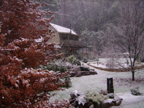 Your Alpine Apartment in winter snow