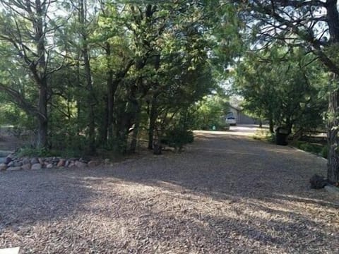 Entry into the property
