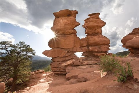 Siamese Twins is 15 minute walk from your door!