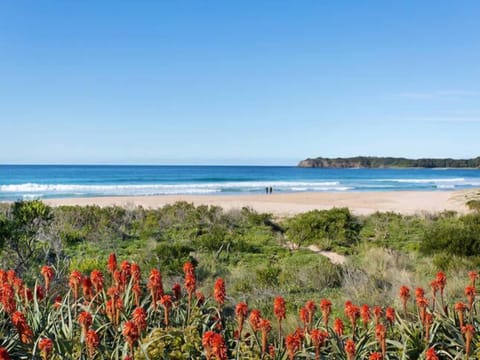 Beachfront view