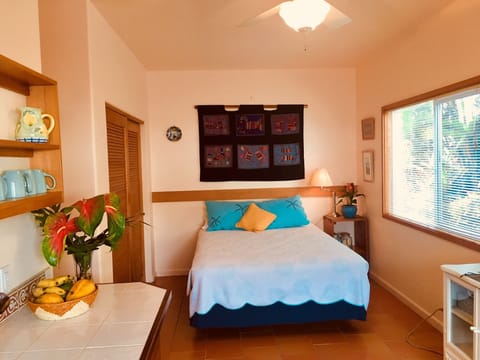 bedroom section of studio w full size closet. TV w/cable service mounted on wall