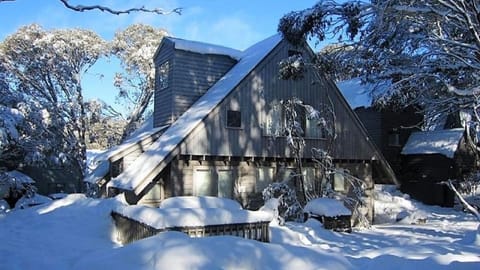 Brumby's during the snow