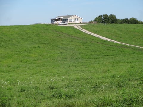 Closer view of house from driveway