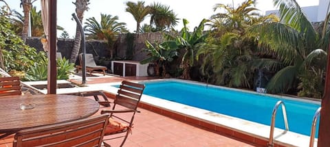 pool surrounded by a landscape garden