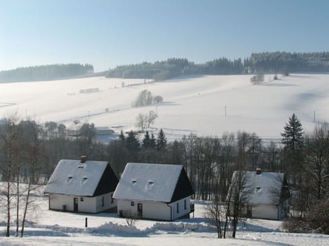 Sky, Snow, Property, Ecoregion, White, Light, Nature, Natural Landscape, Tree, Cloud