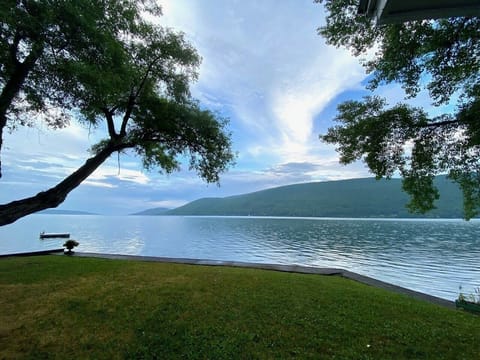 View from front windows