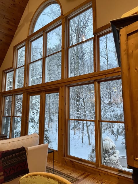 Living Room windows facing the mountain 