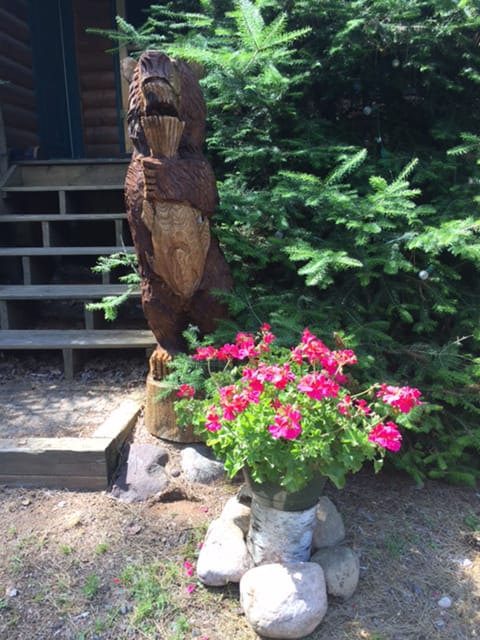 Welcome to the cabin!