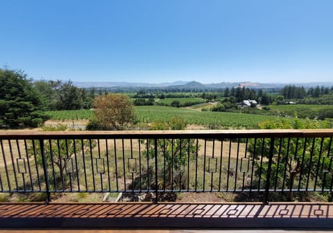Views so good, guests cancel dinner plans to stay in.