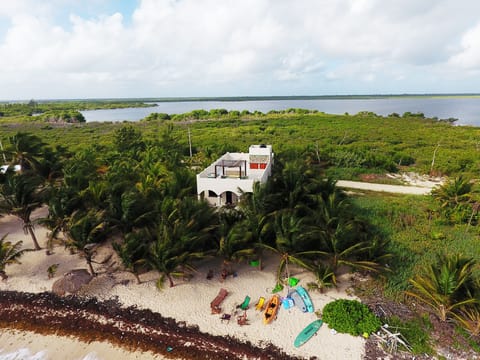 A Birds Eye View