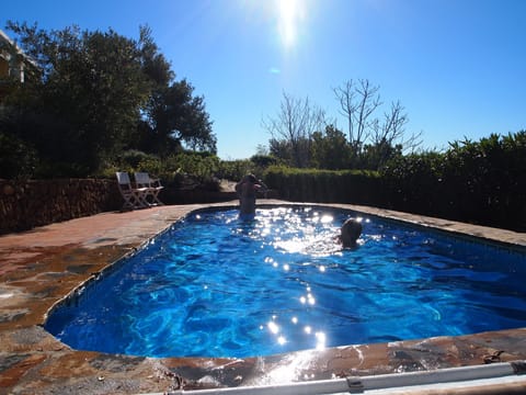 Swimming pool and gardens
