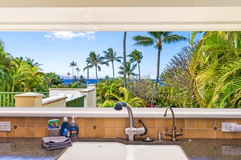 Kitchen window with ocean view