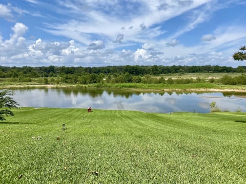 Water & "sloped" back yard view (photo taken 8/28/21)