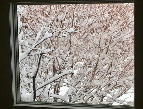 Winter from kitchen window