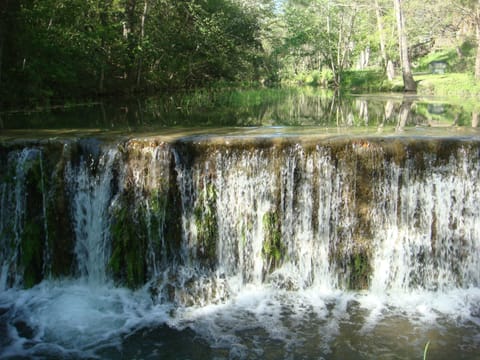 The seasonal creek/river in back of the home. Serene & pretty to view