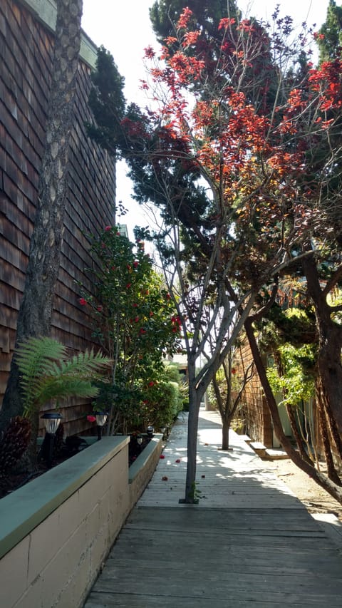 Walkway to your stay.