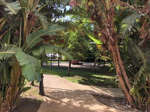 The nicely matured gardens