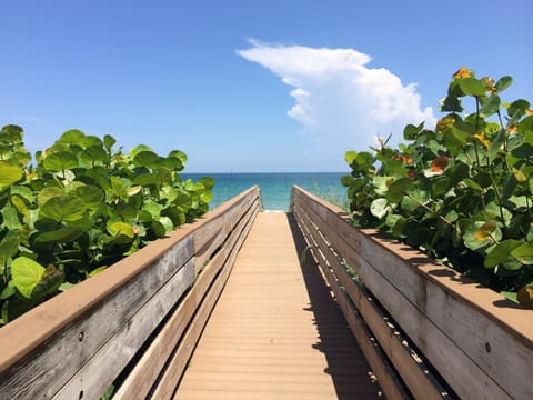 PARADISE FOUND !!!!