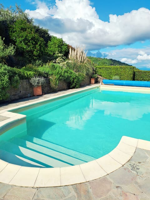 Pool 10m x4m with Roman Steps