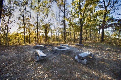 Fire pit with extra seating
Photo Credit: http://jenniferlinders.com/