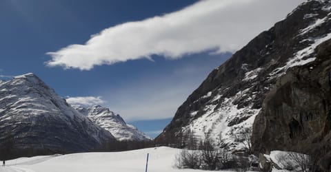 CHARMING STUDIO with WIFI. Apartment in Piedmont