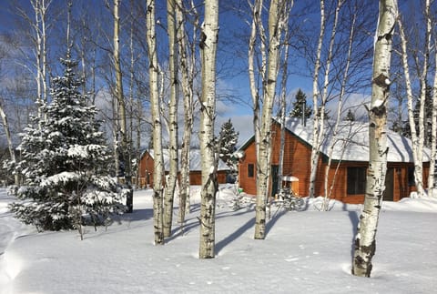 Walleye & Brook Trout Cabins